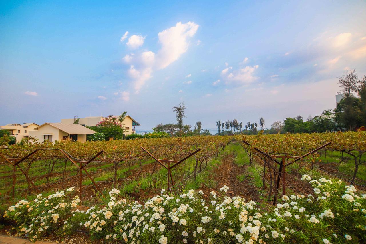 V Resorts Soma Vine Village Mahiravani Exterior photo